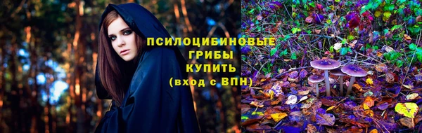 MESCALINE Коряжма