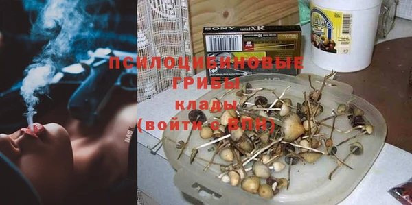 mdpv Костерёво
