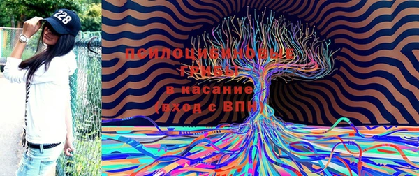 mdpv Костерёво